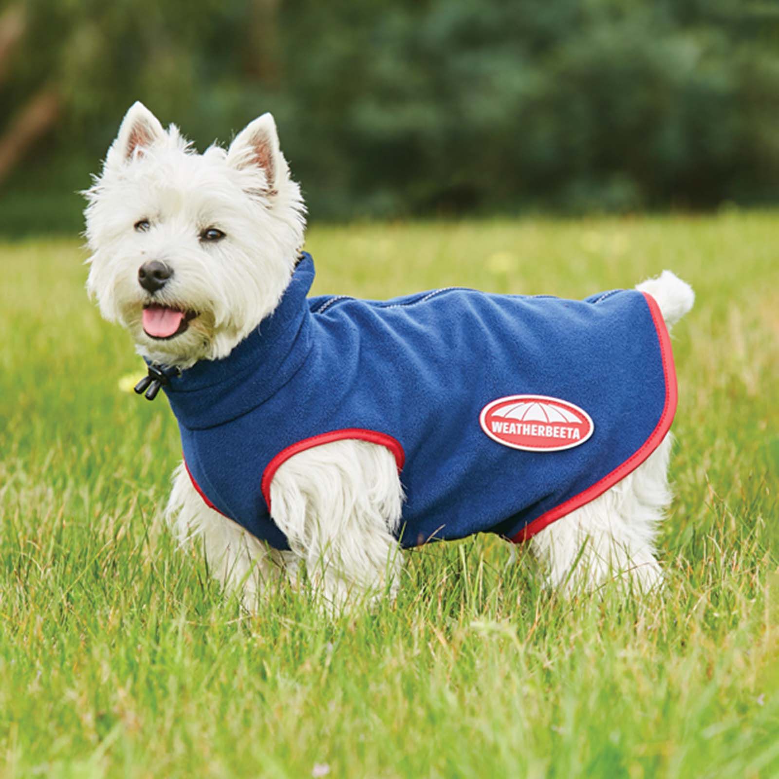 Buy Weatherbeeta Comfitec Fleece Zip Dog Coat horze.eu
