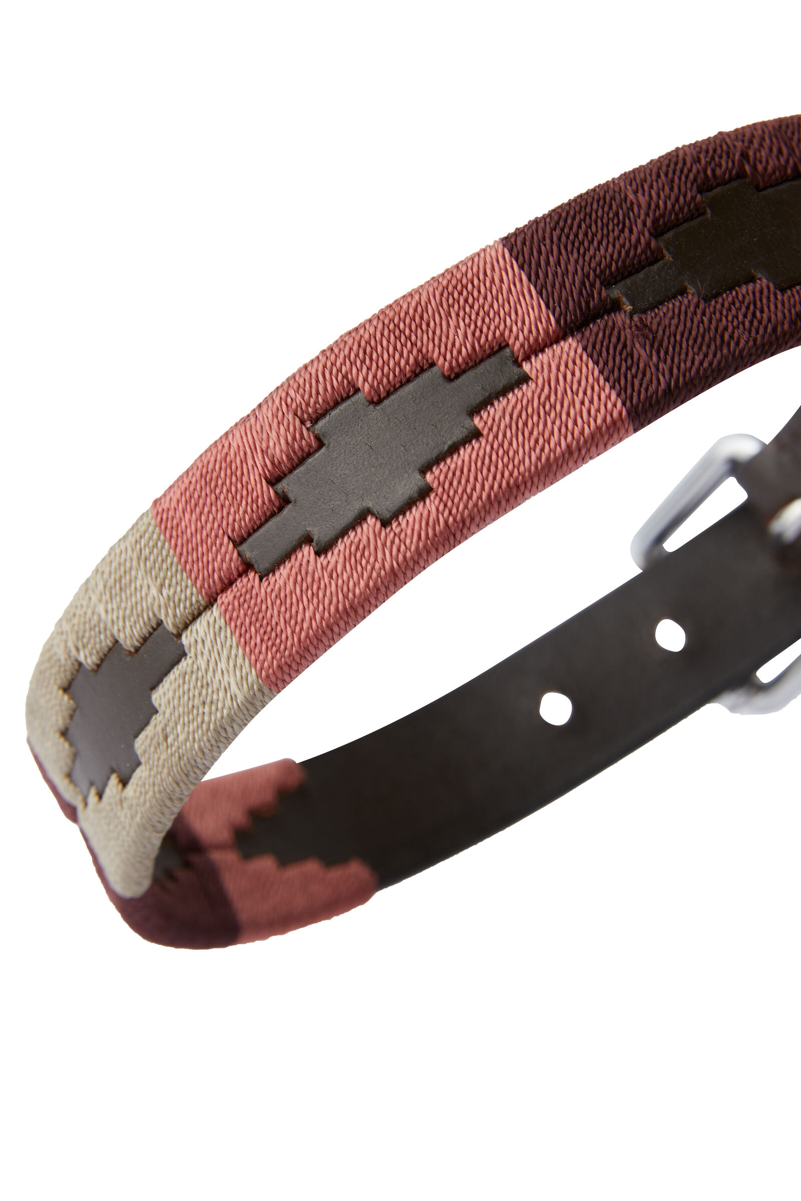 Buy Horze Polo Dog Collar horze.eu