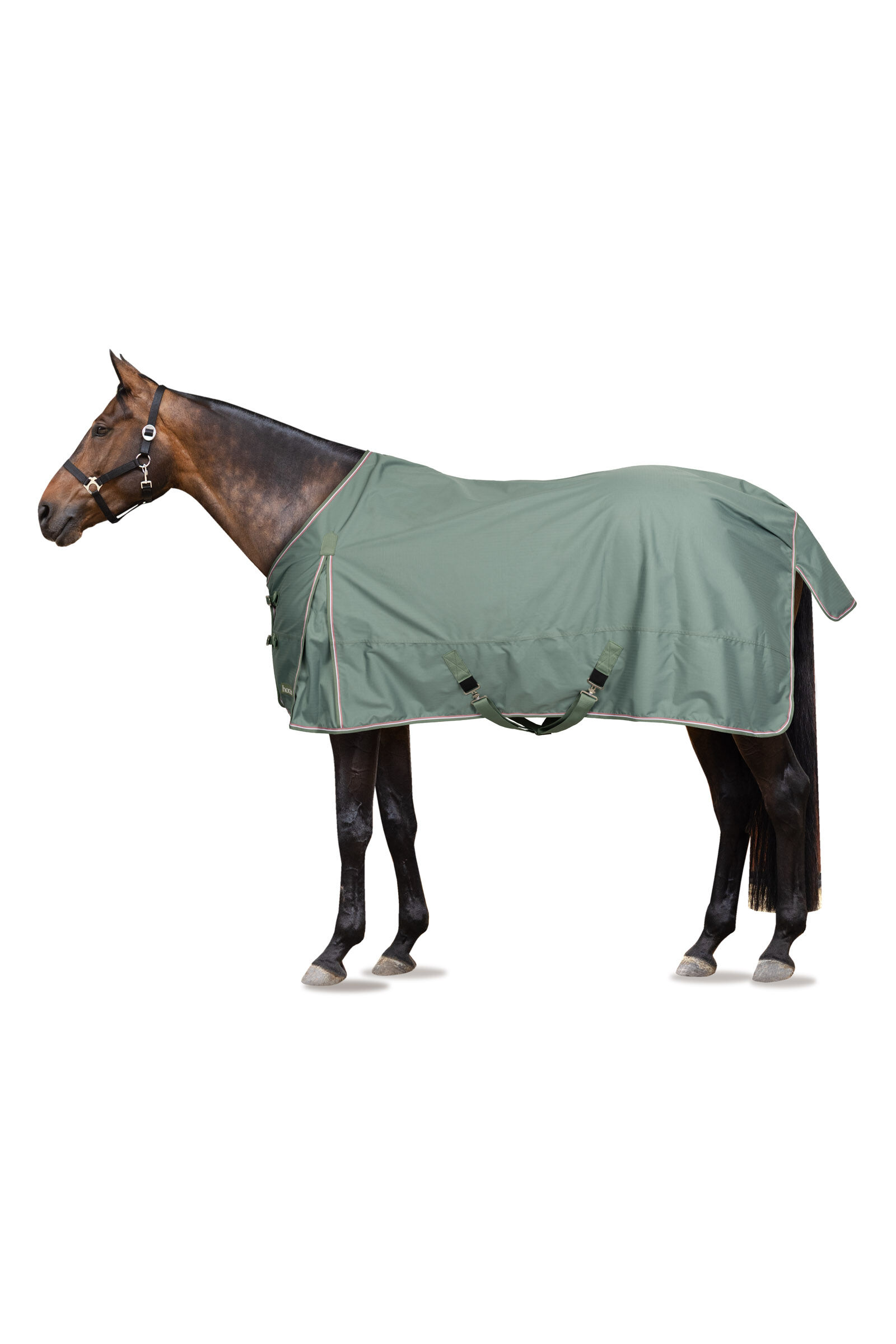 Horze fleece rug clearance