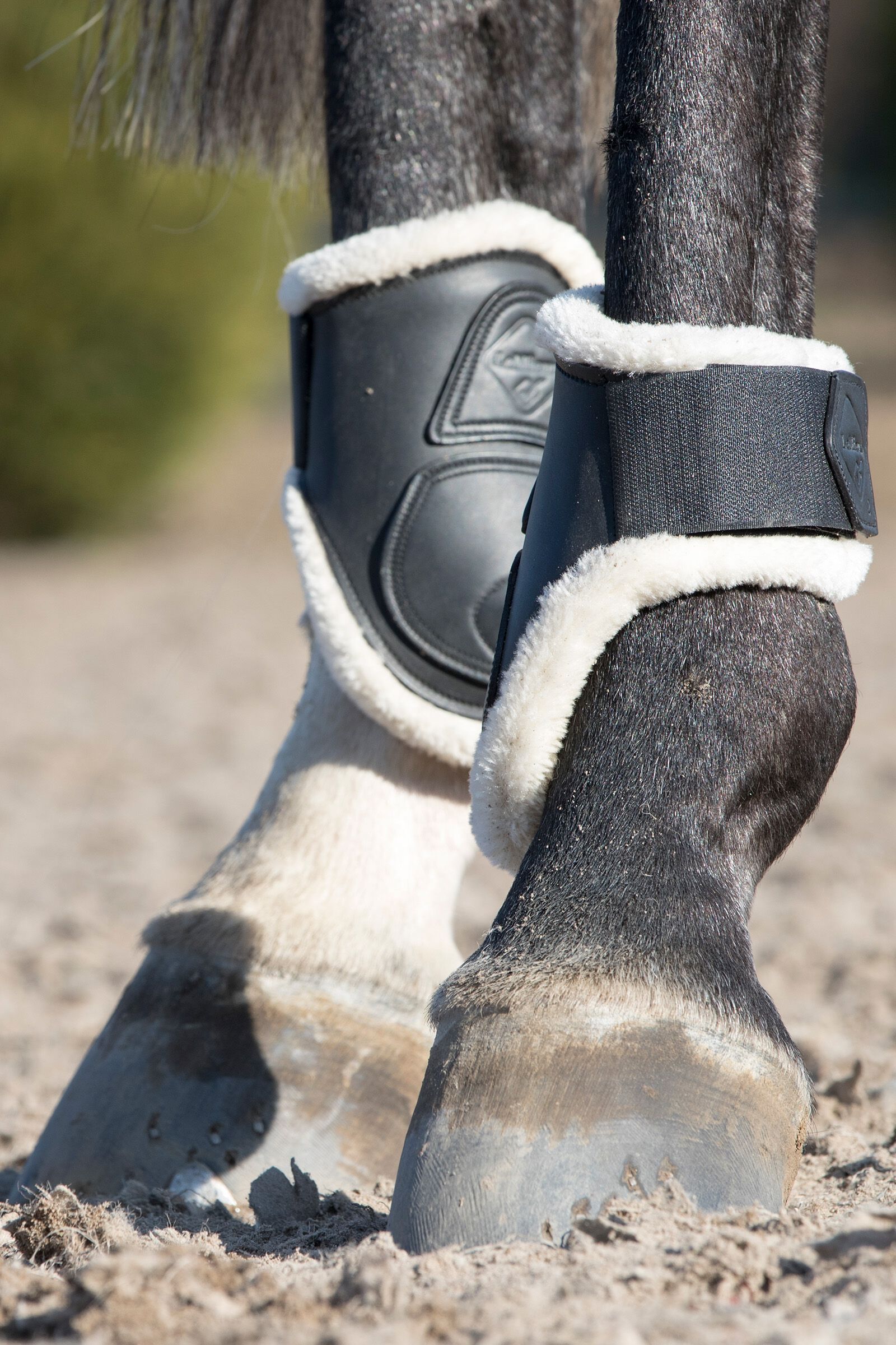 Le mieux fetlock boots shop