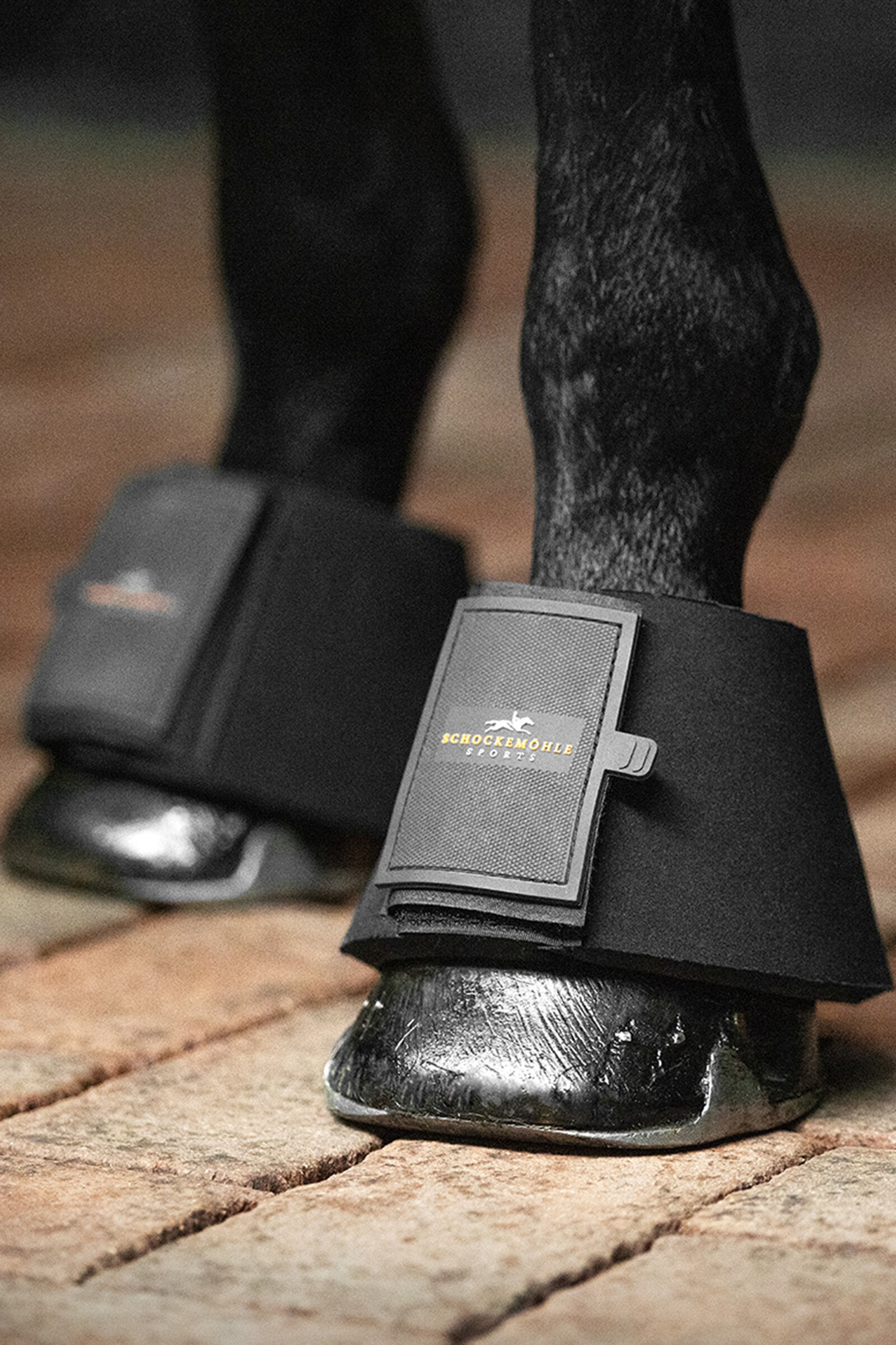 Buy Schockemohle Sports Soft Bell Boots horze.eu