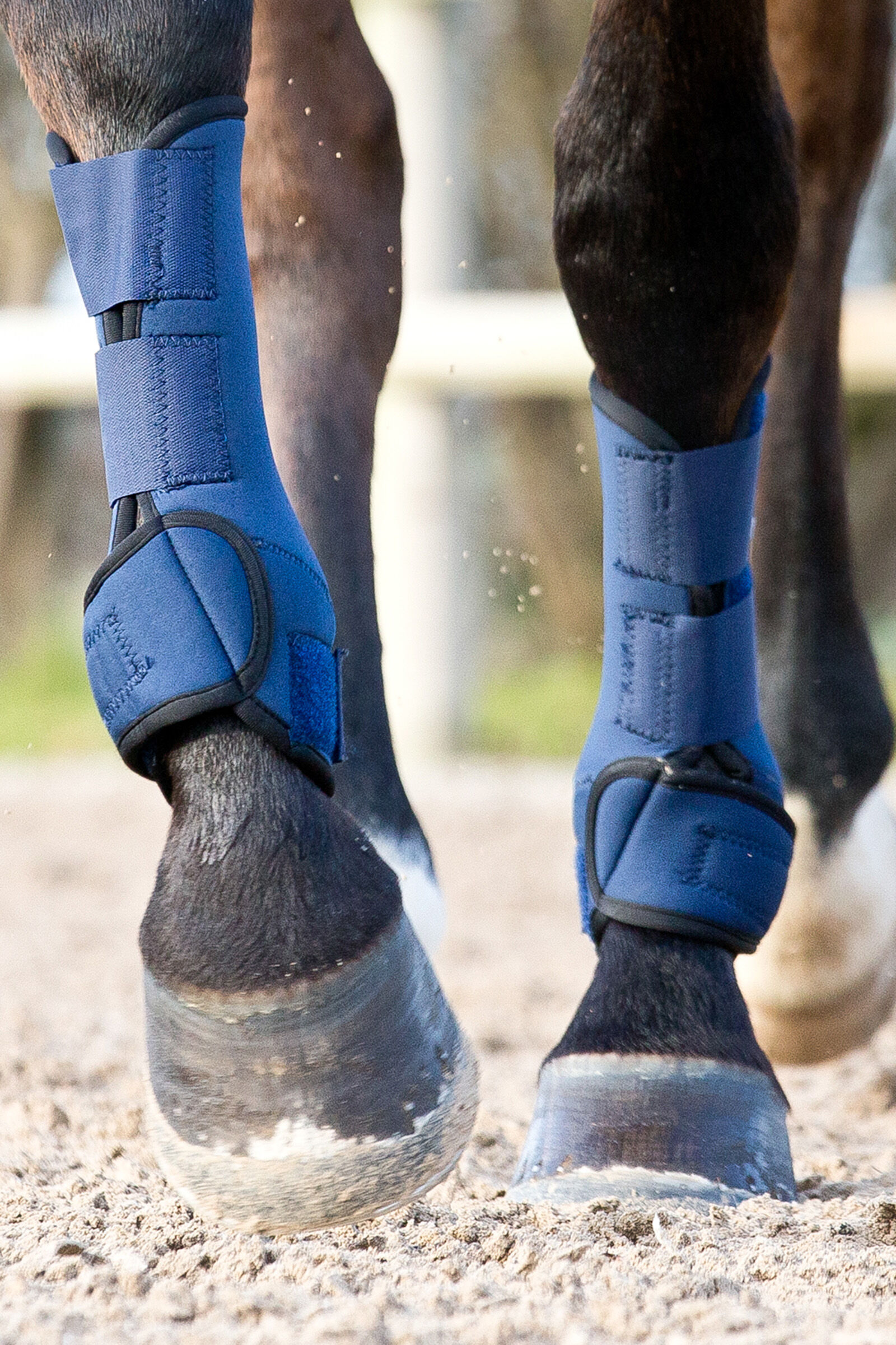 Horze brushing boots outlet