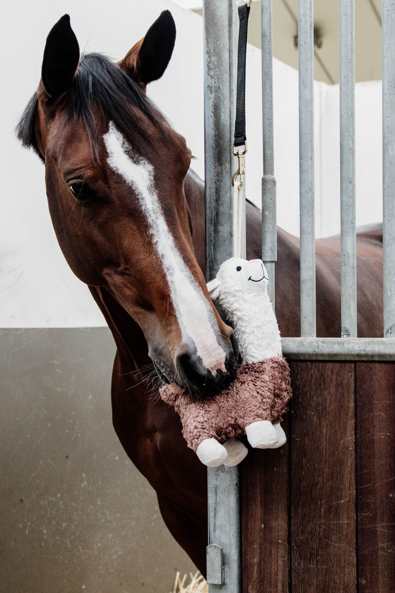 Toy horse best sale arena