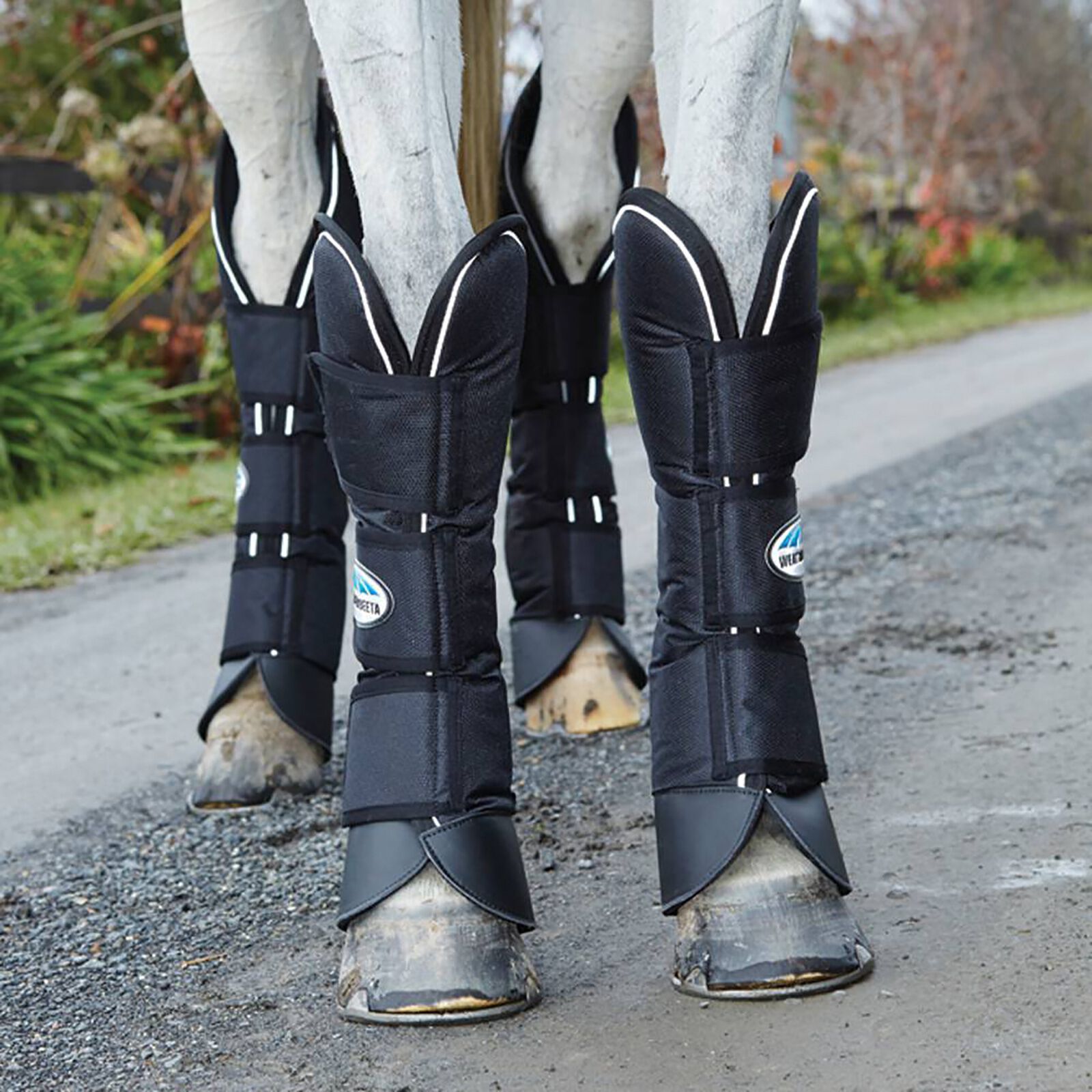 Weatherbeeta dressage boots cheap