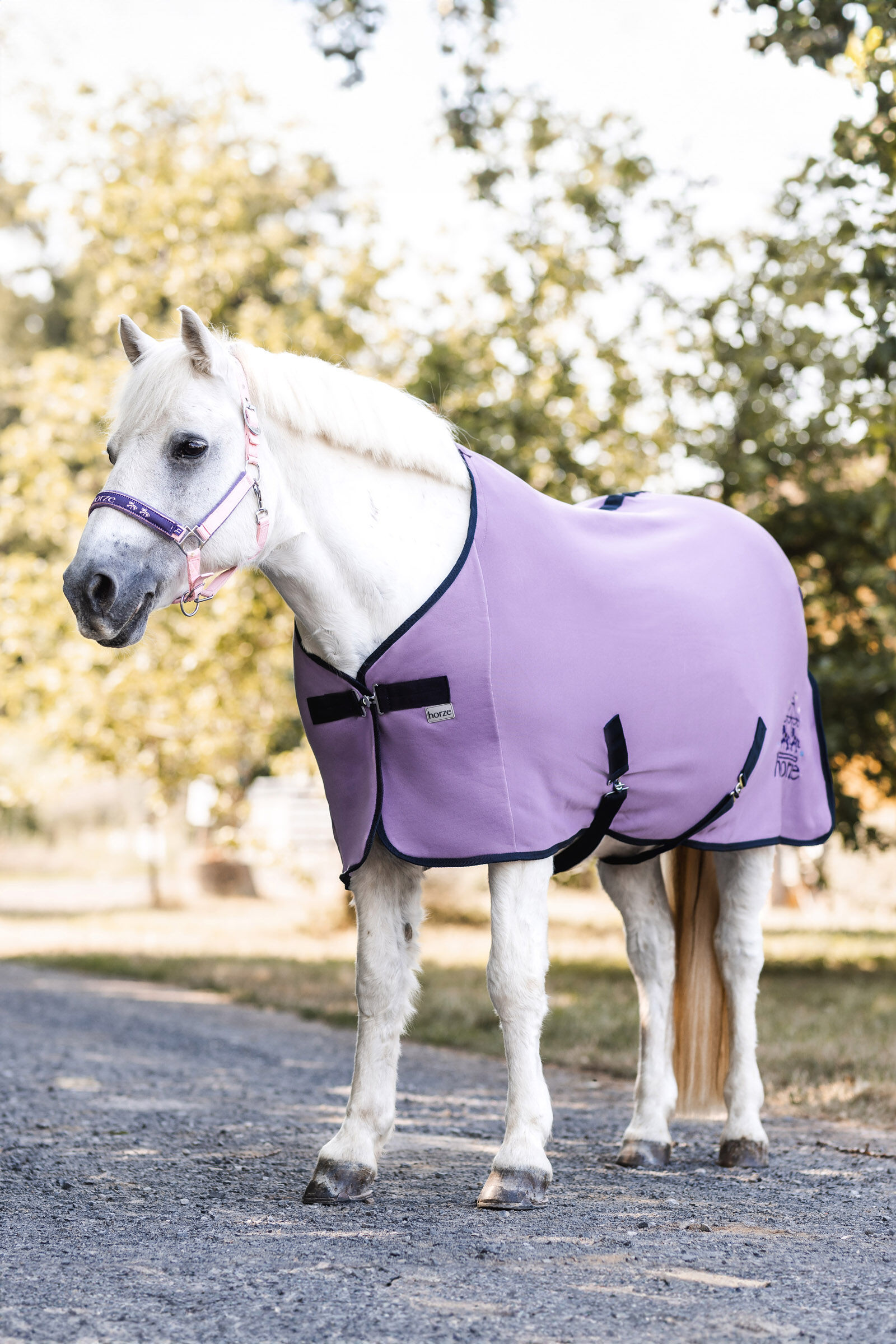 Horse cooler store