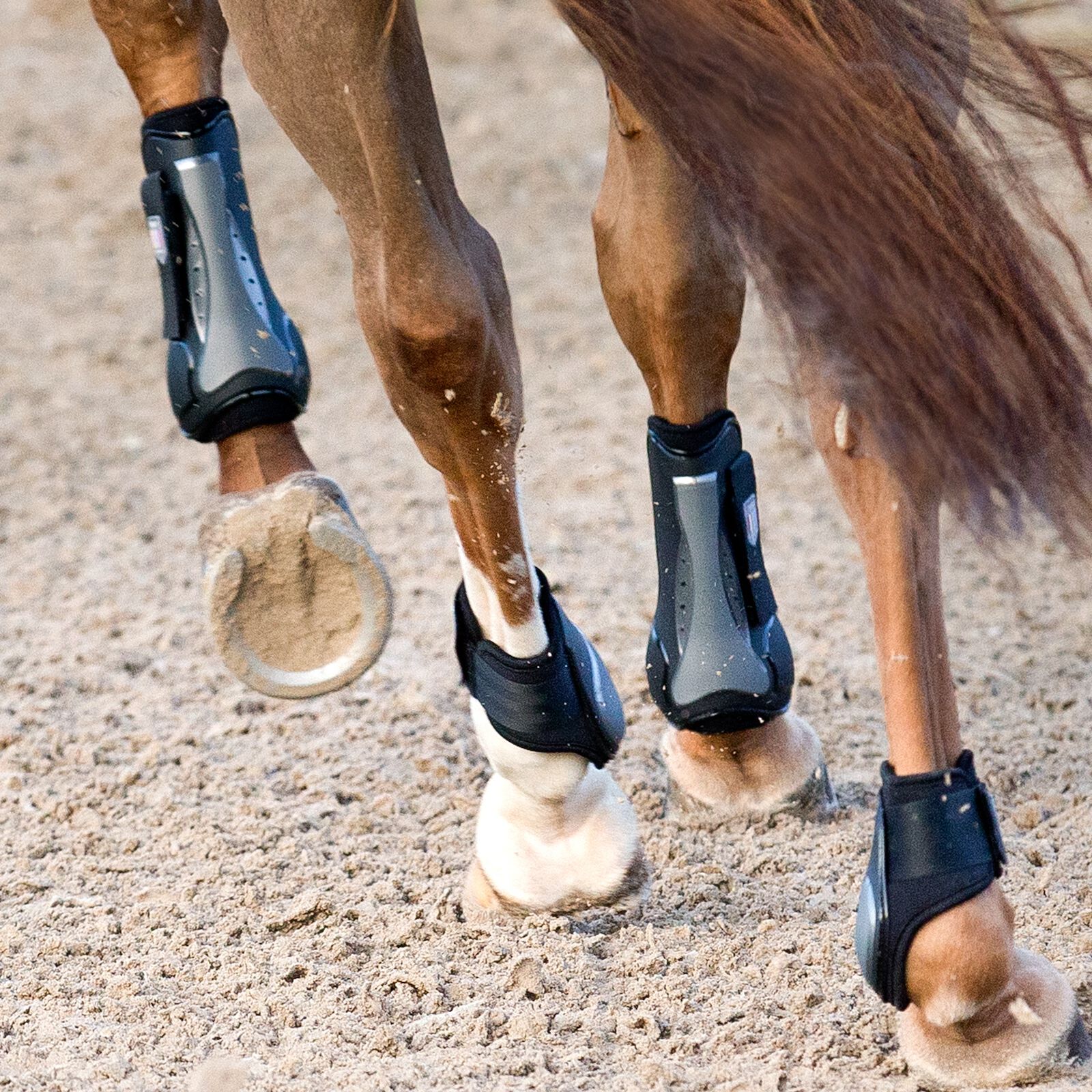 Tendon and fetlock boots on sale
