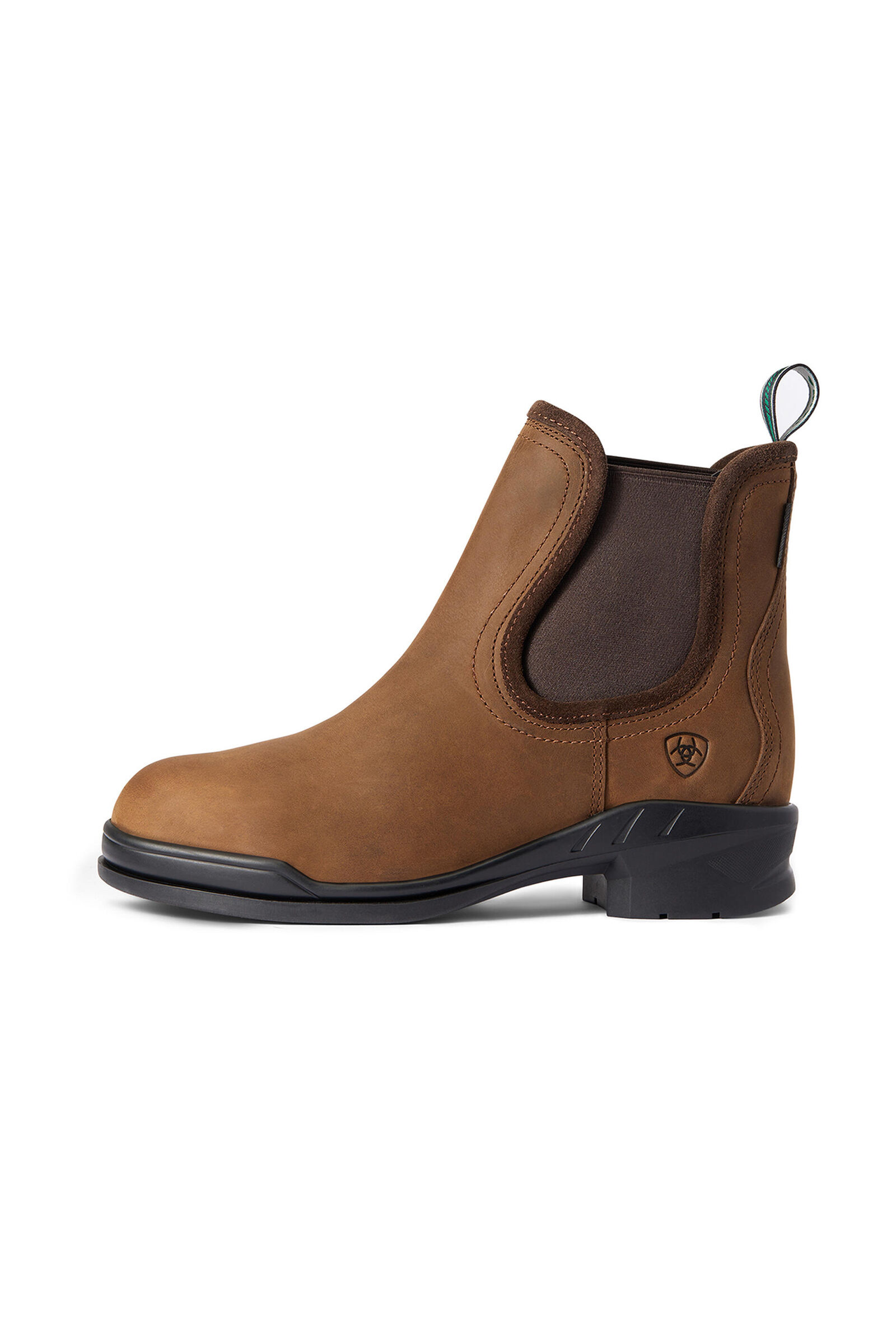 Ariat steel toe womens best sale