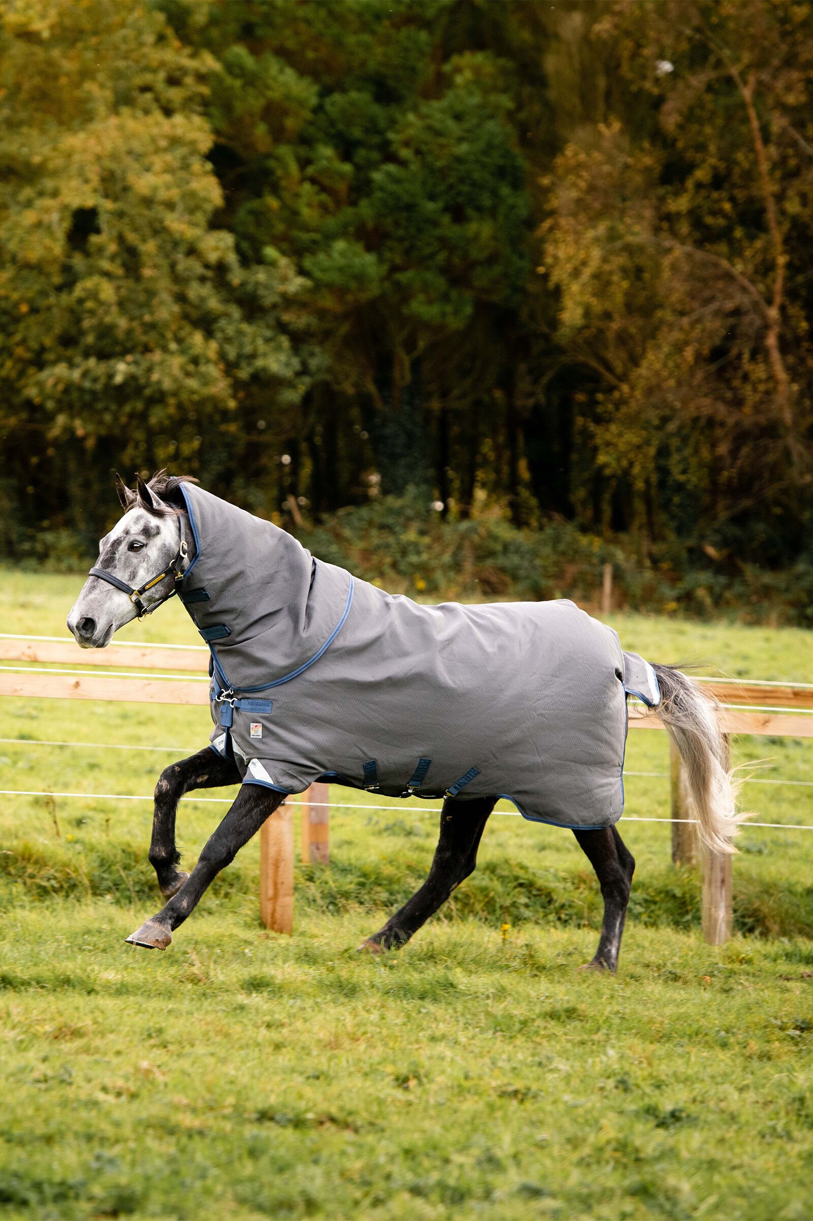 Buy affordable Horseware now | horze.eu
