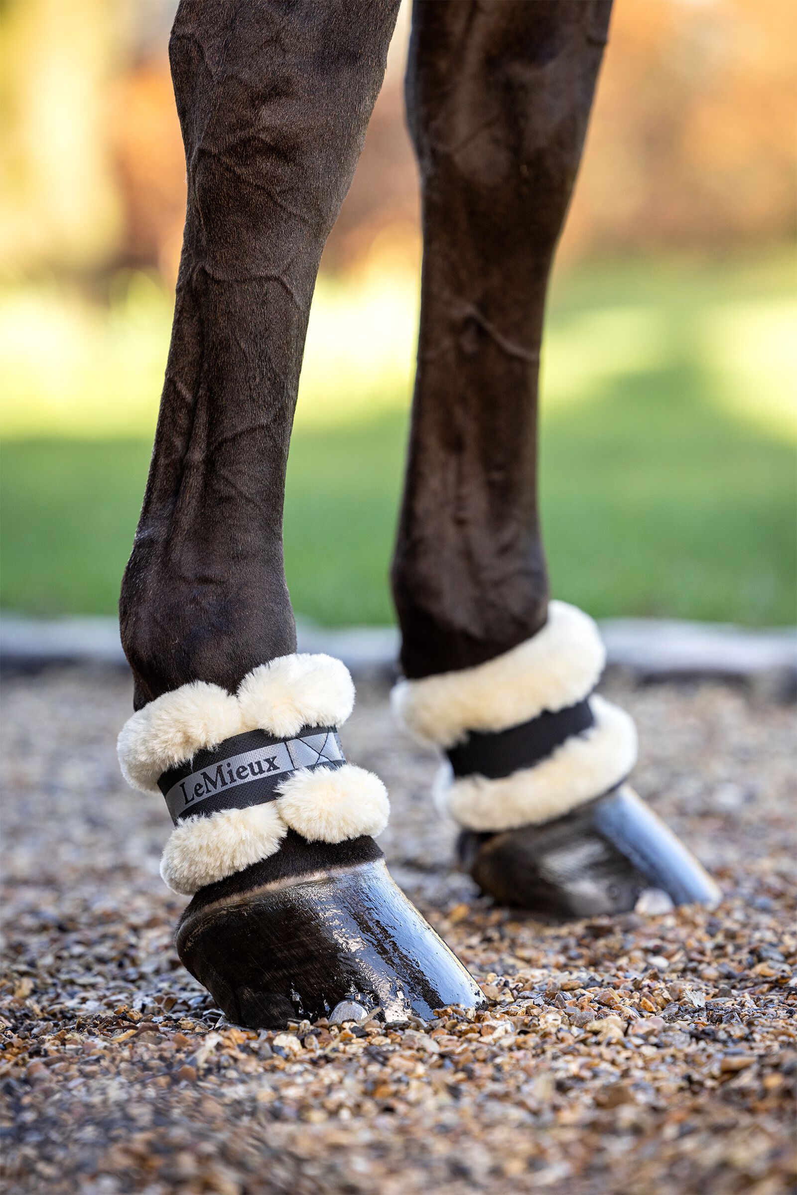 Buy LeMieux Fleece Pastern Wrap horze.eu