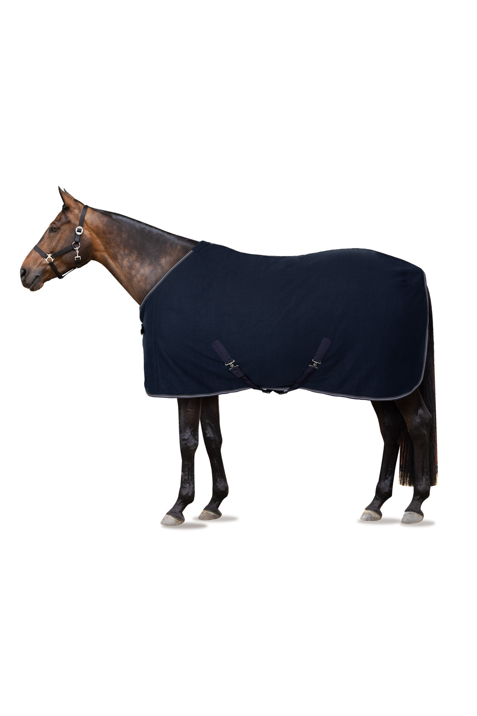 Buy horse hot sale equipment online