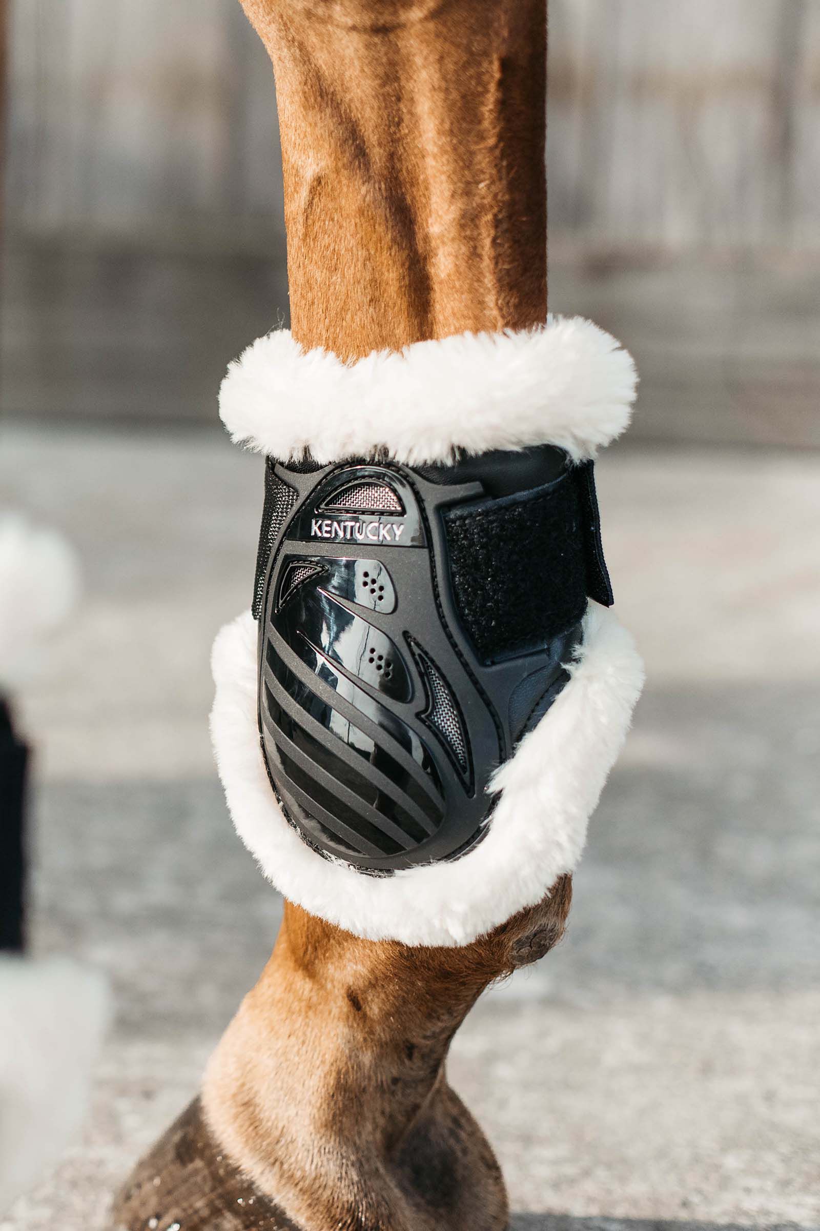 Veredus young horse outlet boots