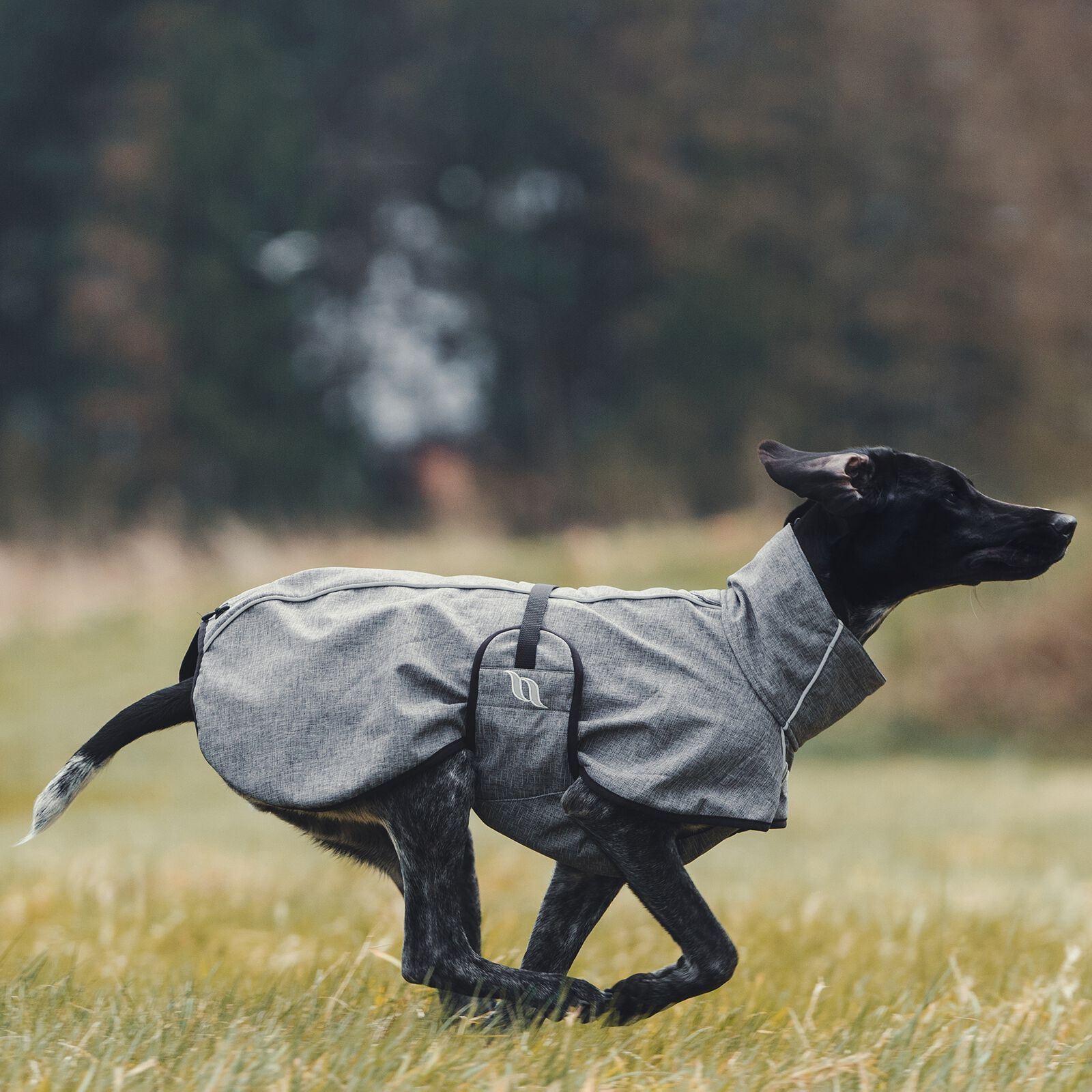 Back on track dog coats top