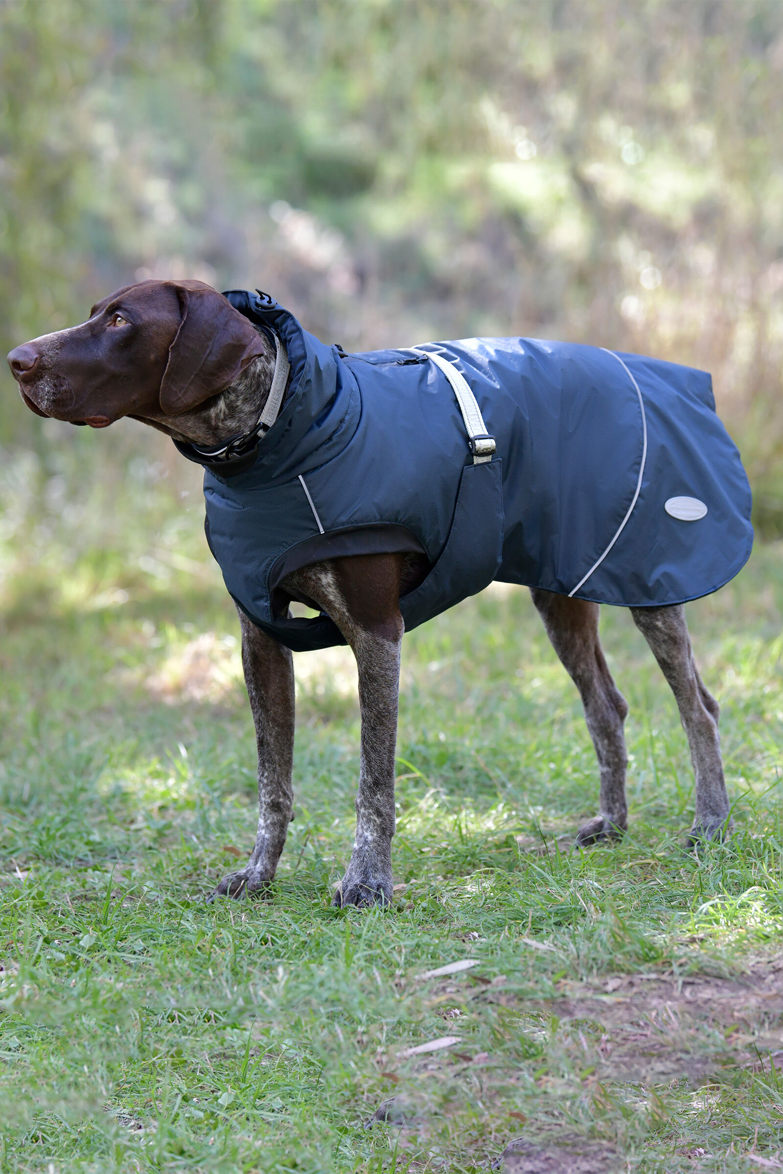 Weatherbeeta Explorer Medium Dog Coat