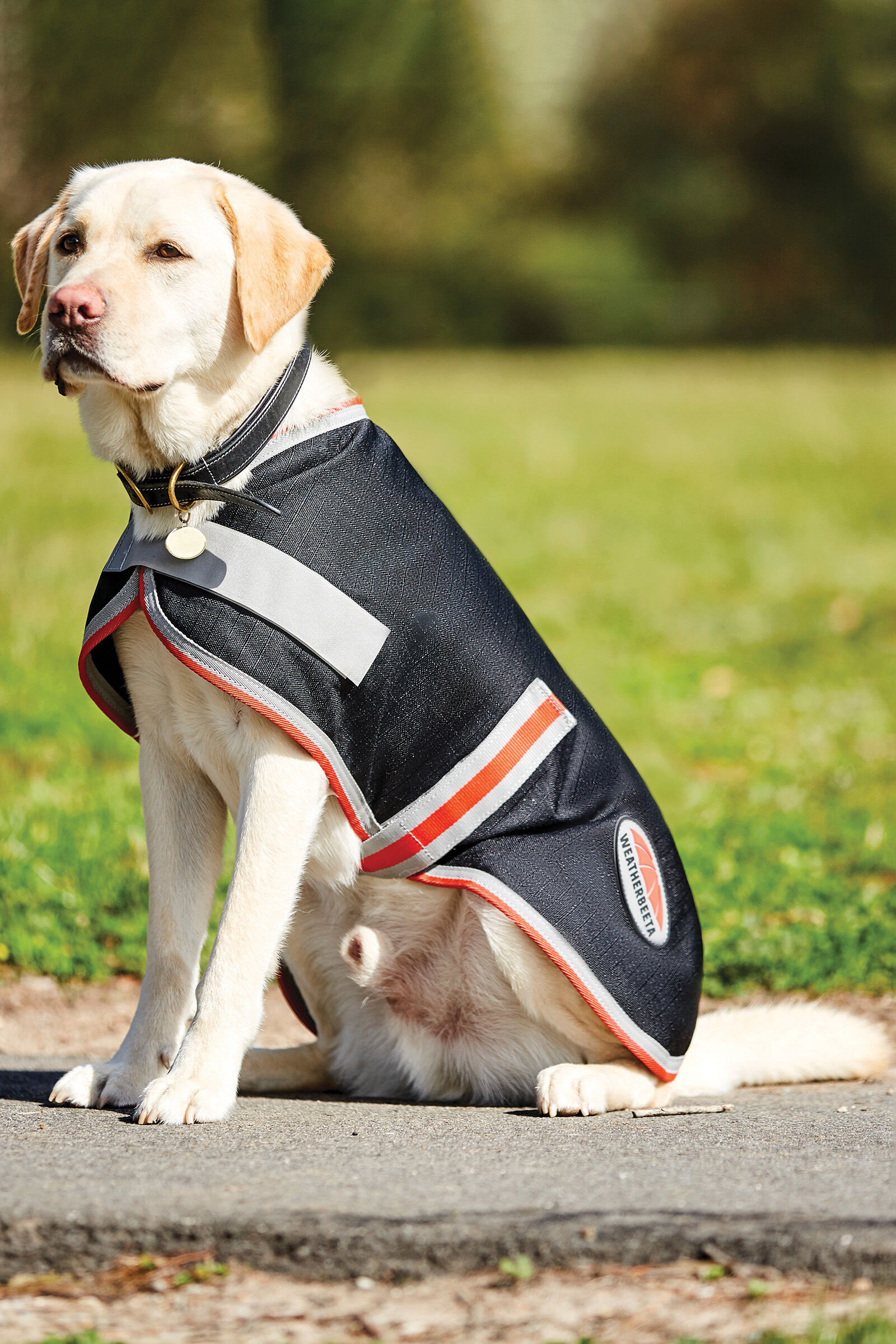 Buy Weatherbeeta Comfitec Therapy Tec 1200D Dog Coat 100g horze.eu