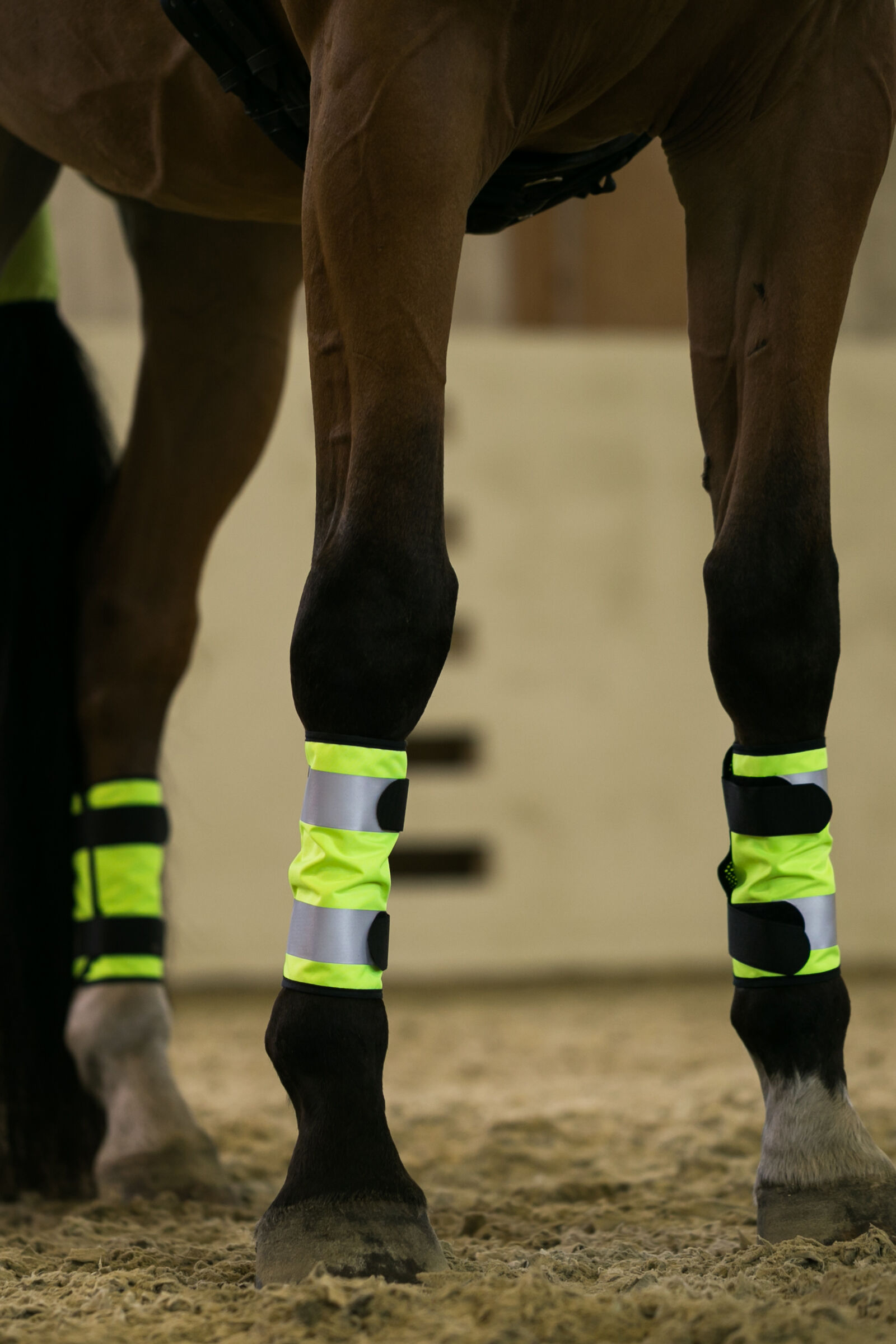 Buy Horze Reflective Leg Wraps horze.eu