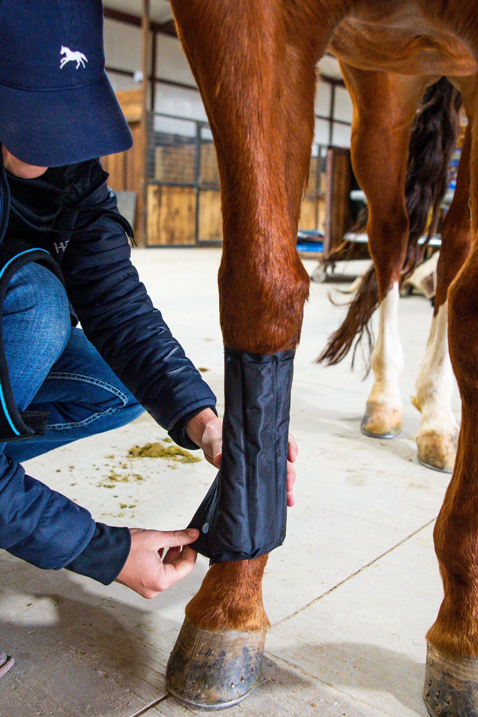 Horse Boots horze.eu