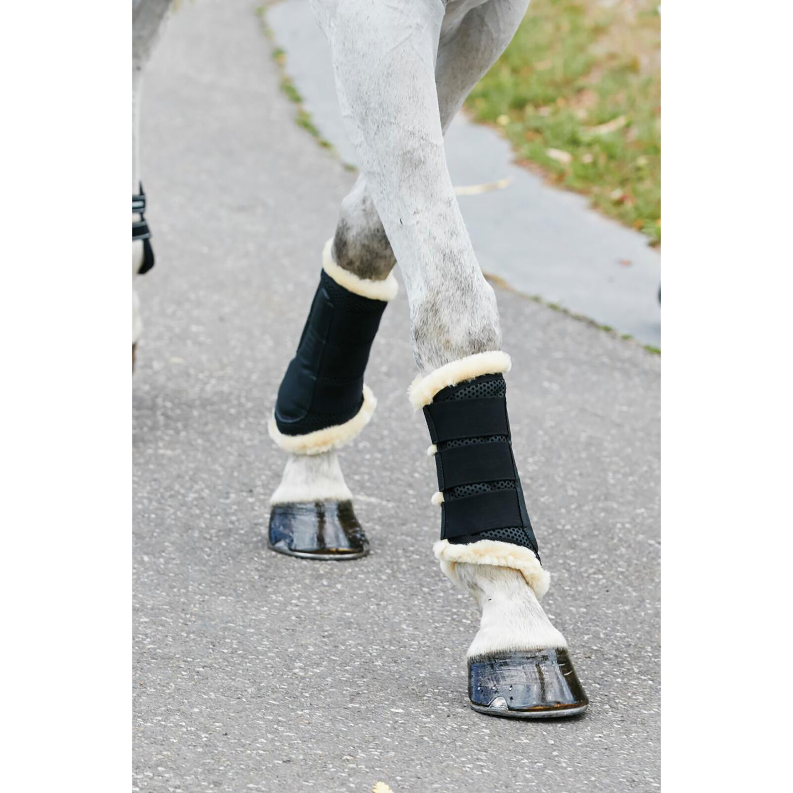 Weatherbeeta sale dressage boots