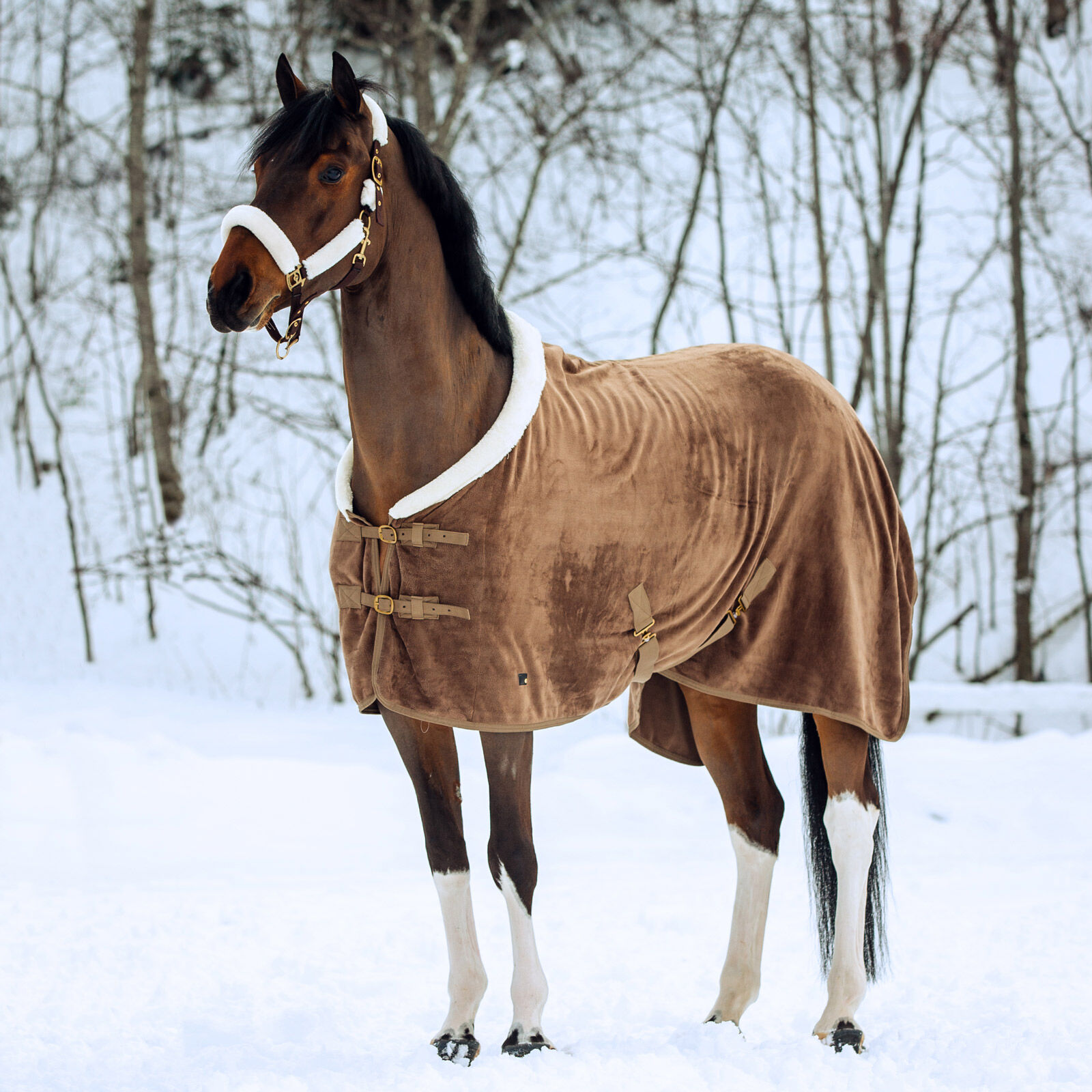 Horse fleece rugs cheap