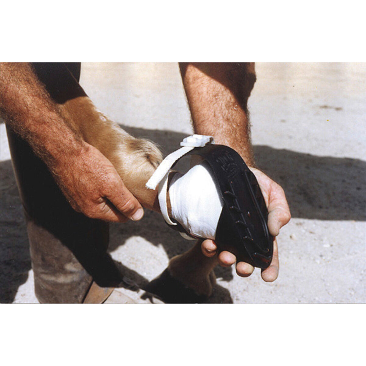 Shoof sales hoof boots