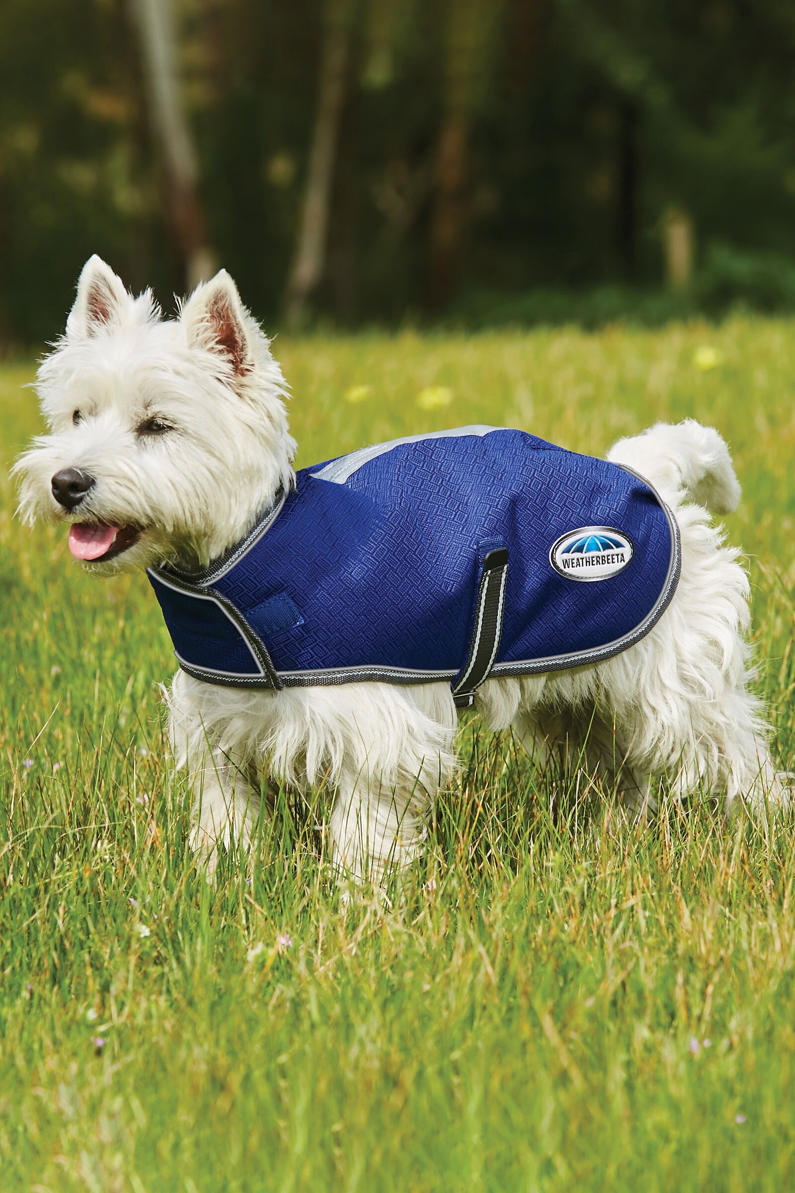 Buy Weatherbeeta Comfitec Premier Free Parka Dog Coat Medium 220g