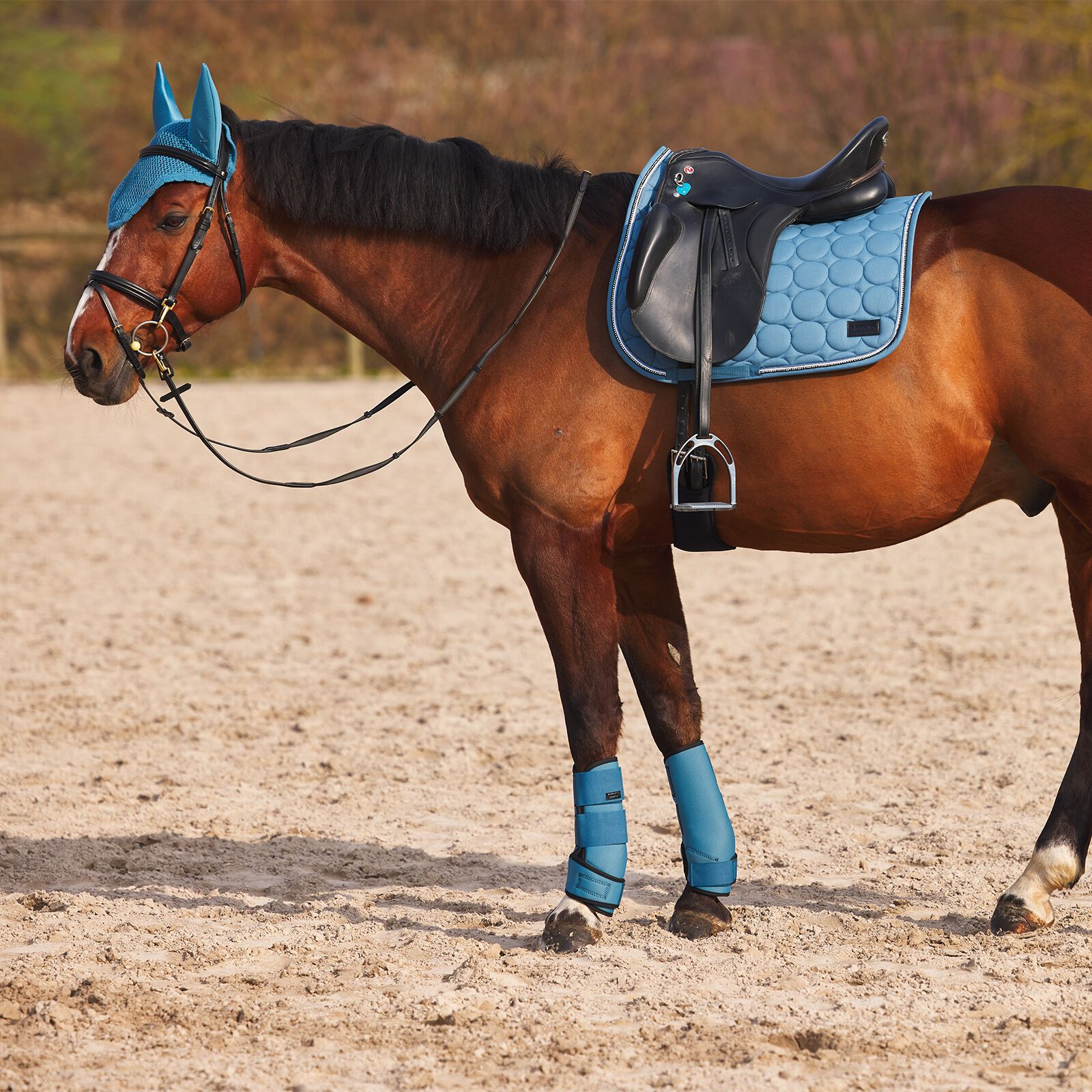 Blue deals horse boots
