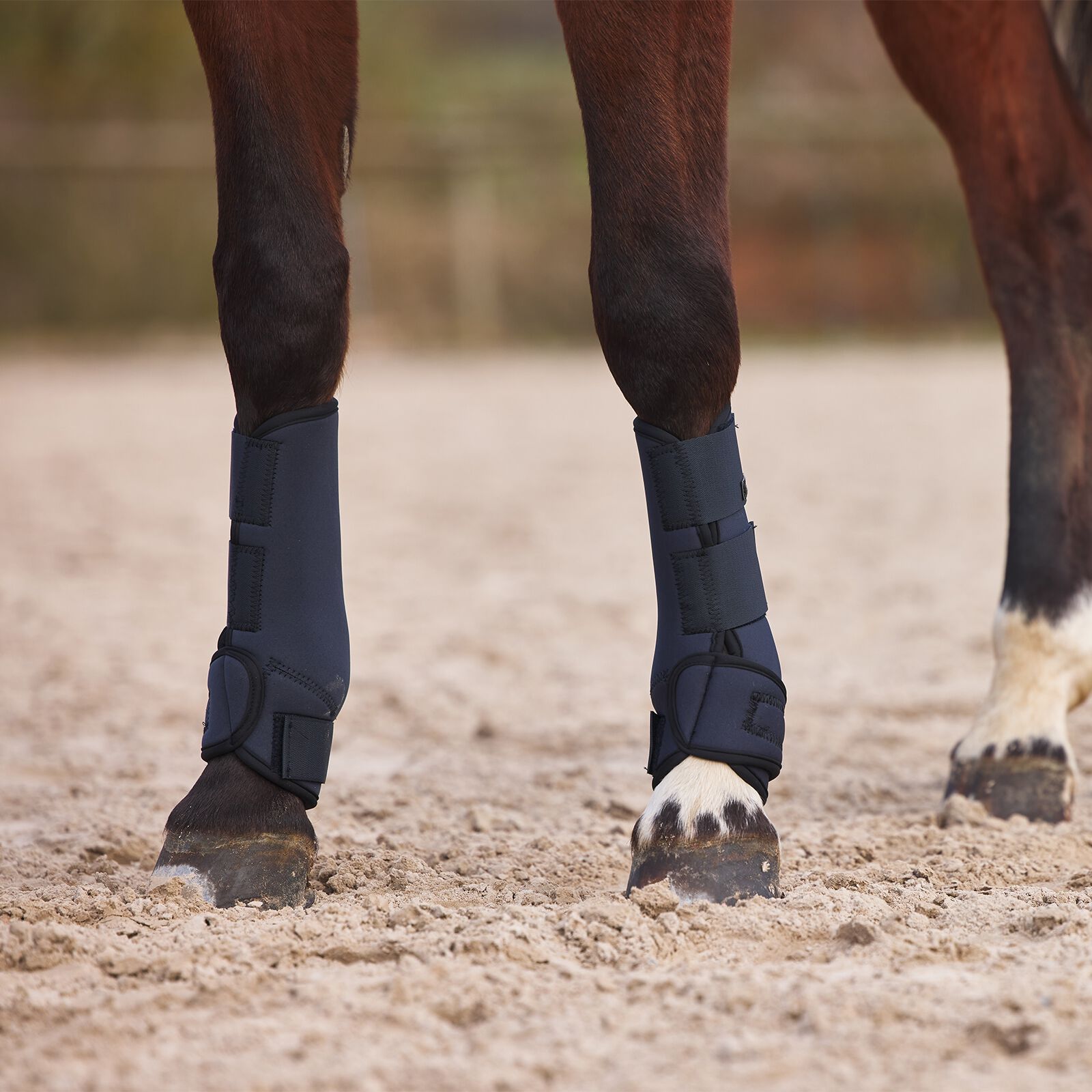 Brushing boots for back legs clearance