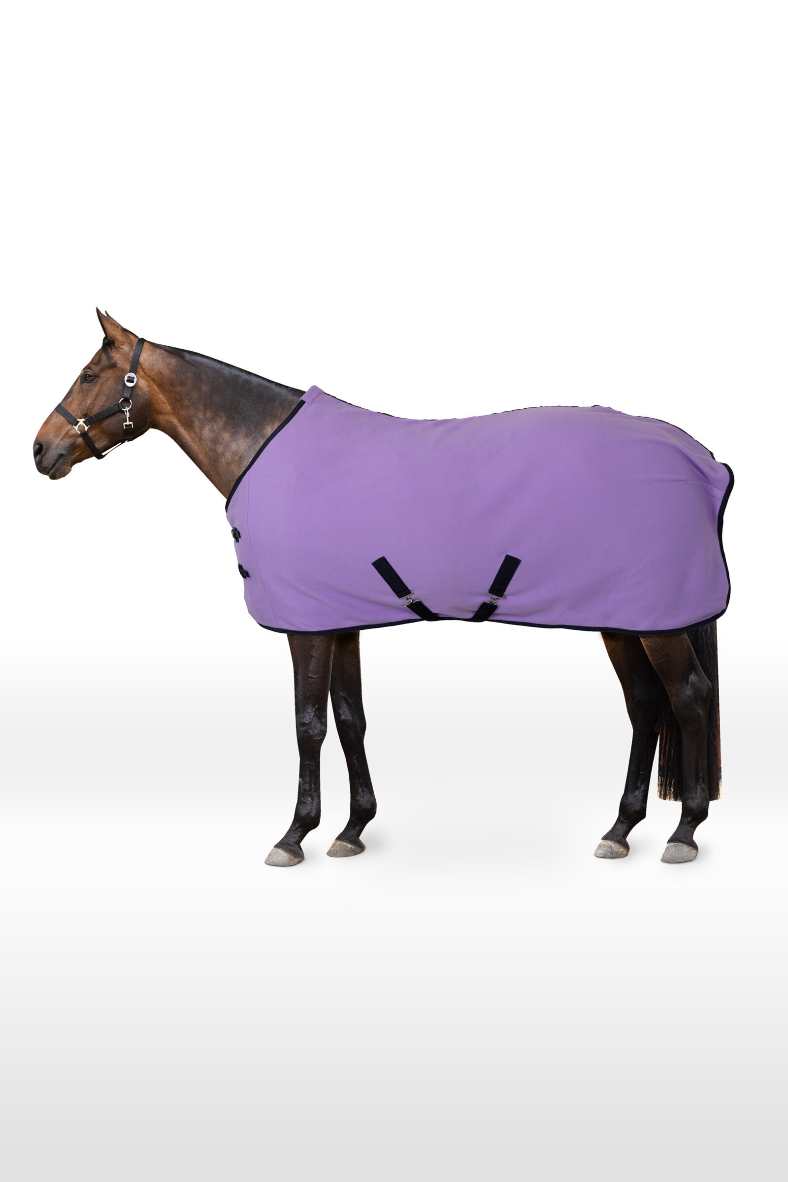 Horse tack horse riding equipment accessoires horze.eu