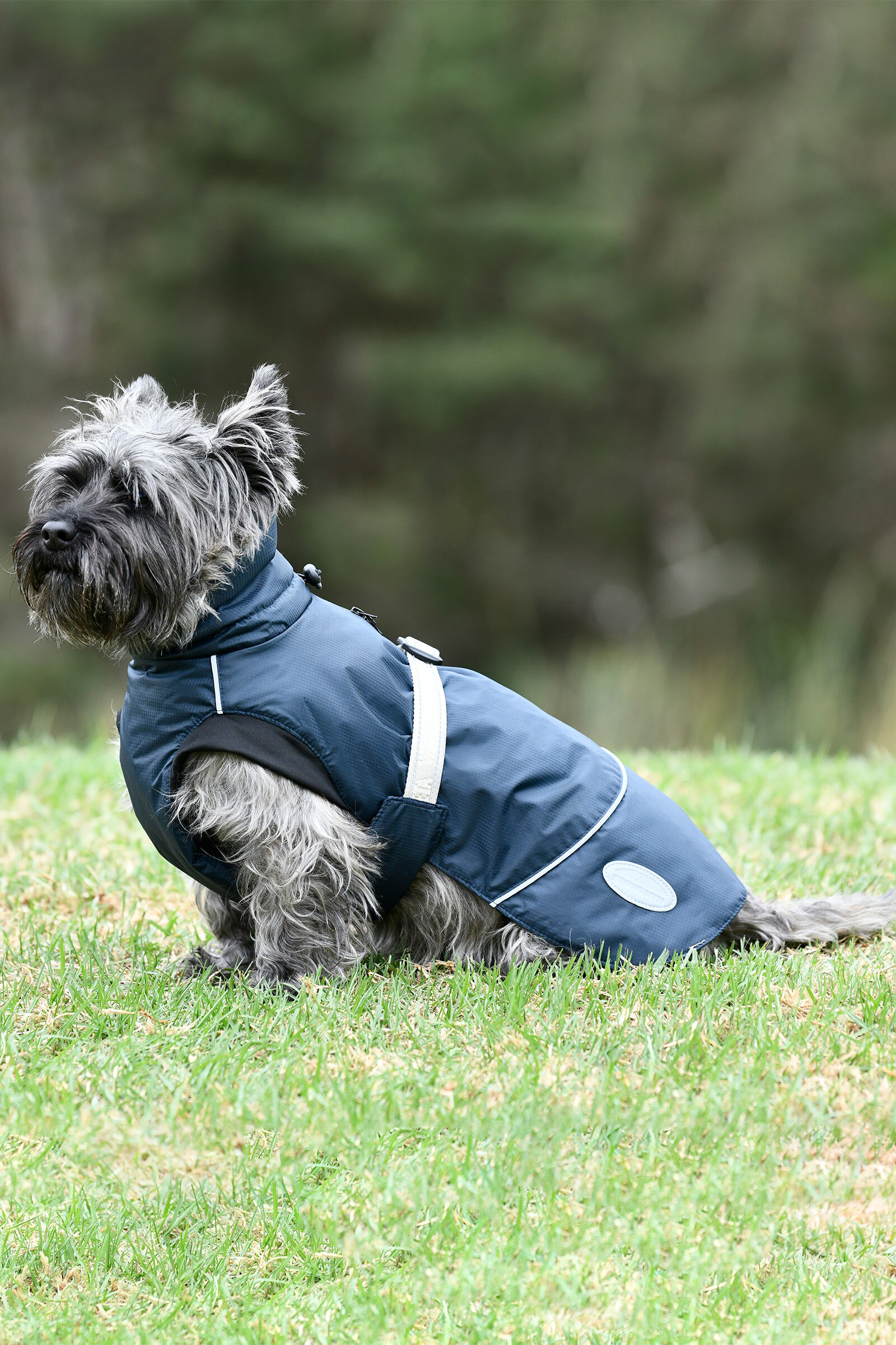 Ancol muddy paws dog coat discount
