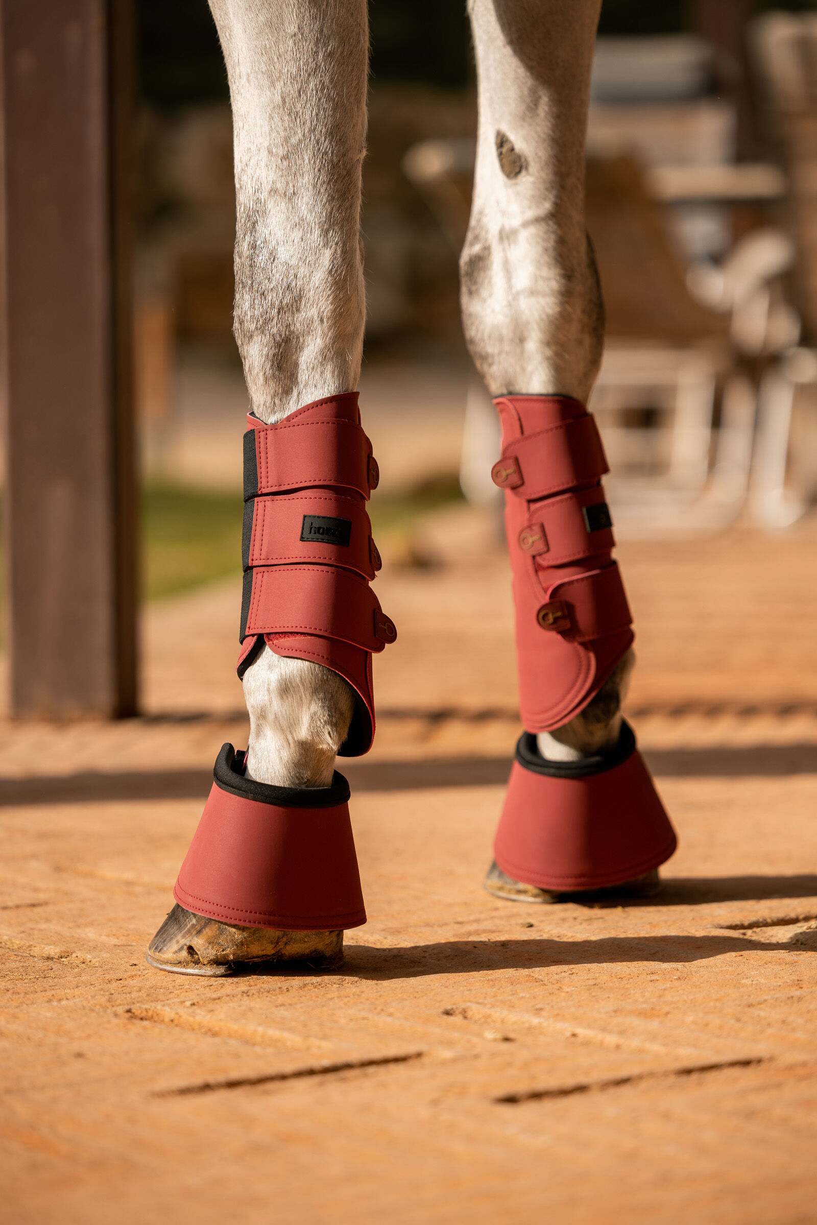 Buy Horze Noir Brushing Boots horze.eu