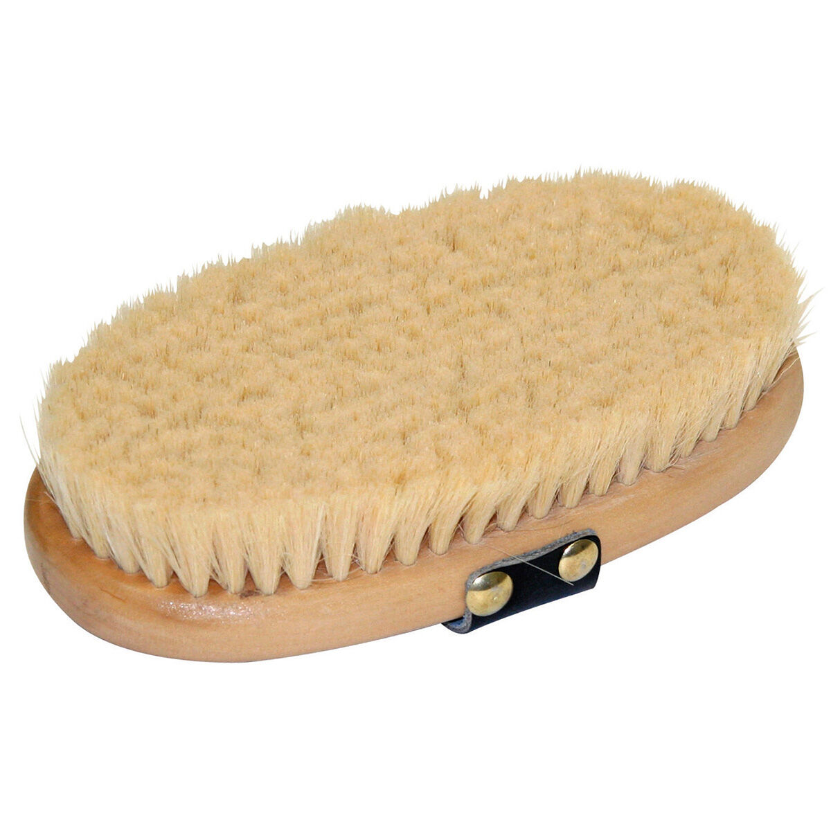 Horse brushes store