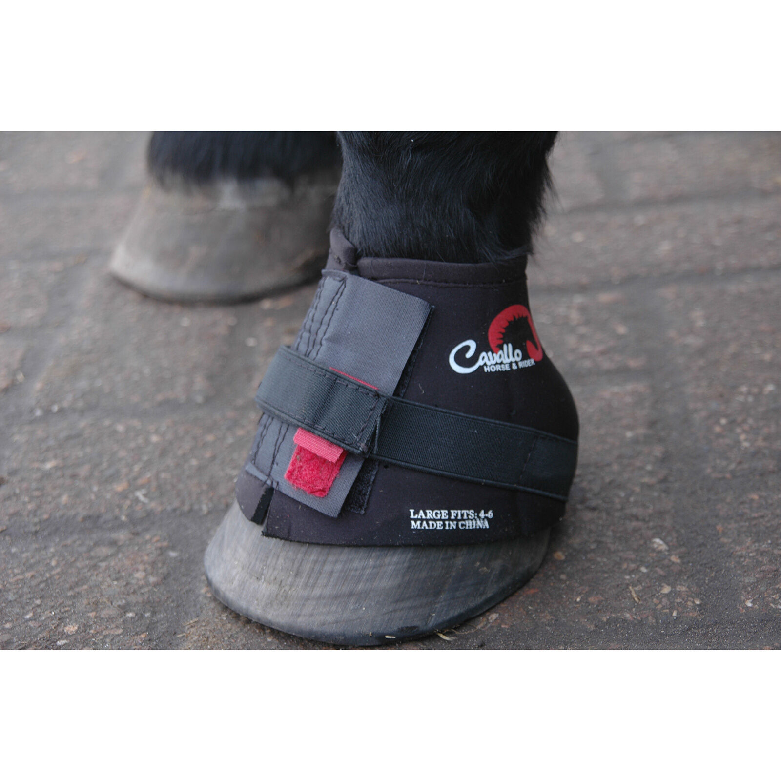 Buy F.R.A. Cavallo Pastern Wraps XL horze.eu