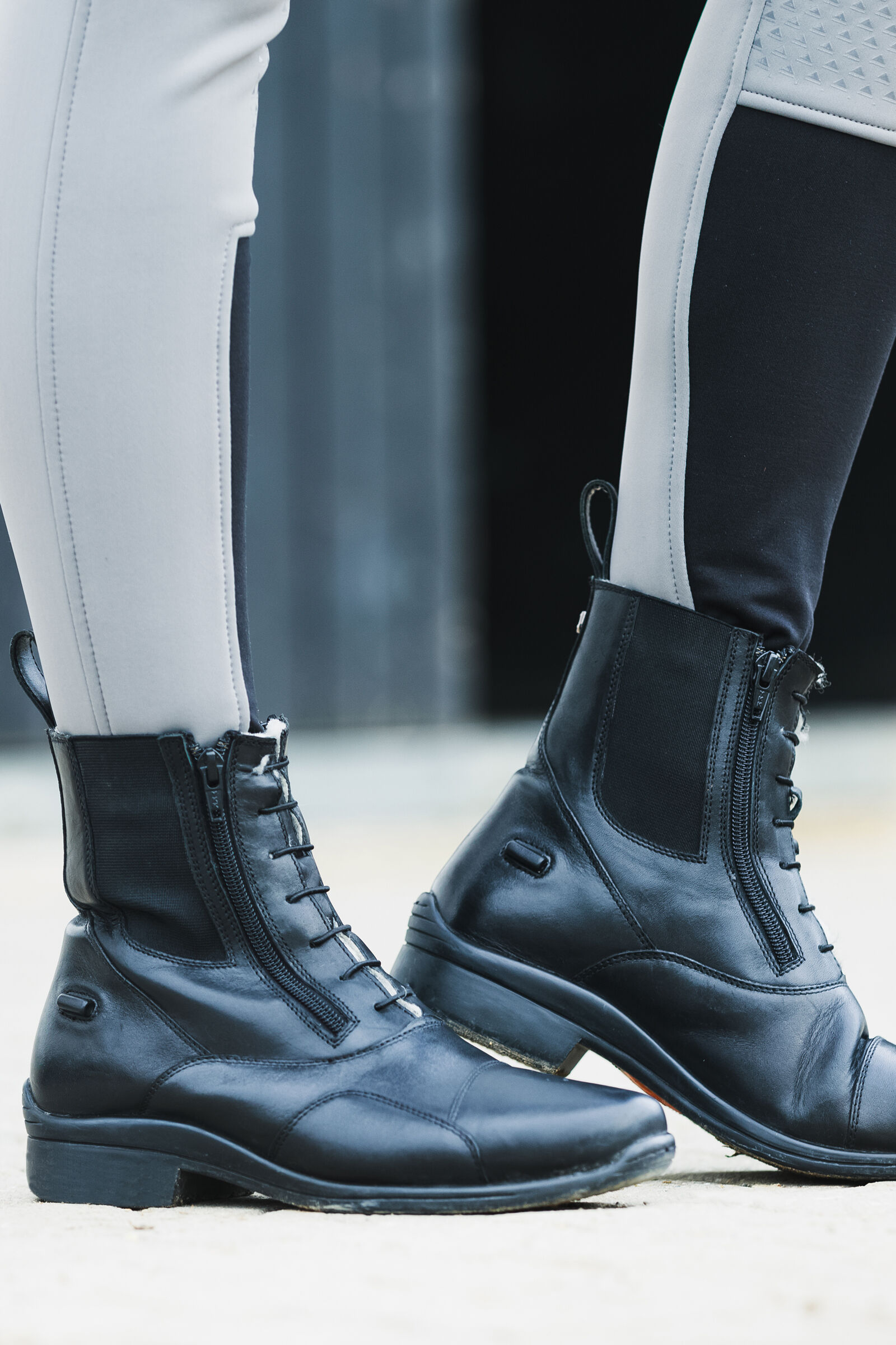 Horze paddock clearance boots