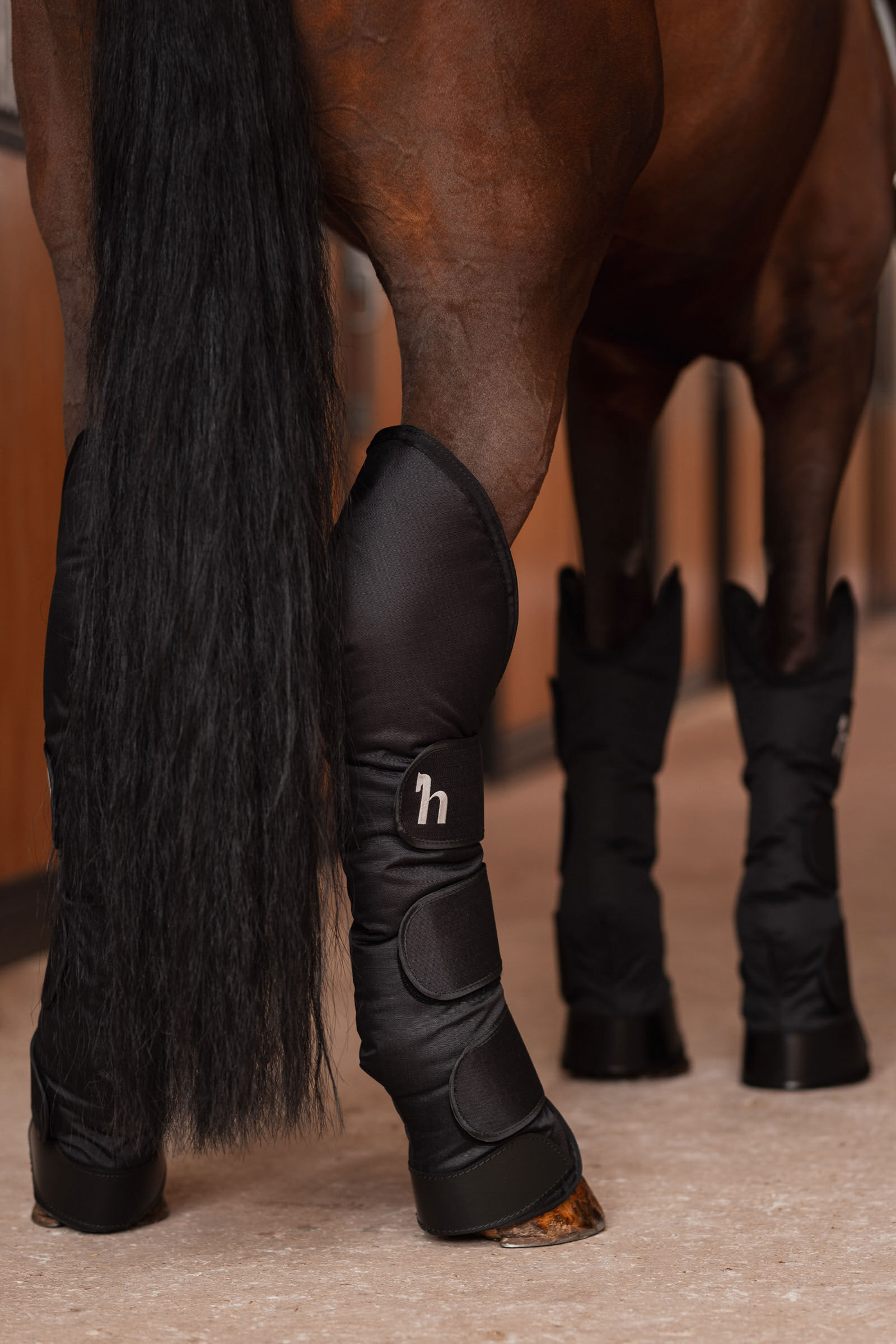 Buy Horze Transport Boots horze.eu