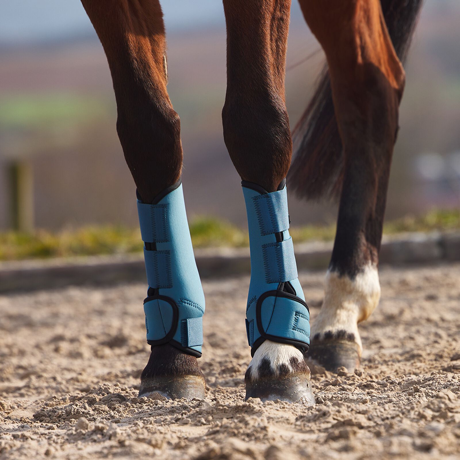 Turquoise brushing boots 2025