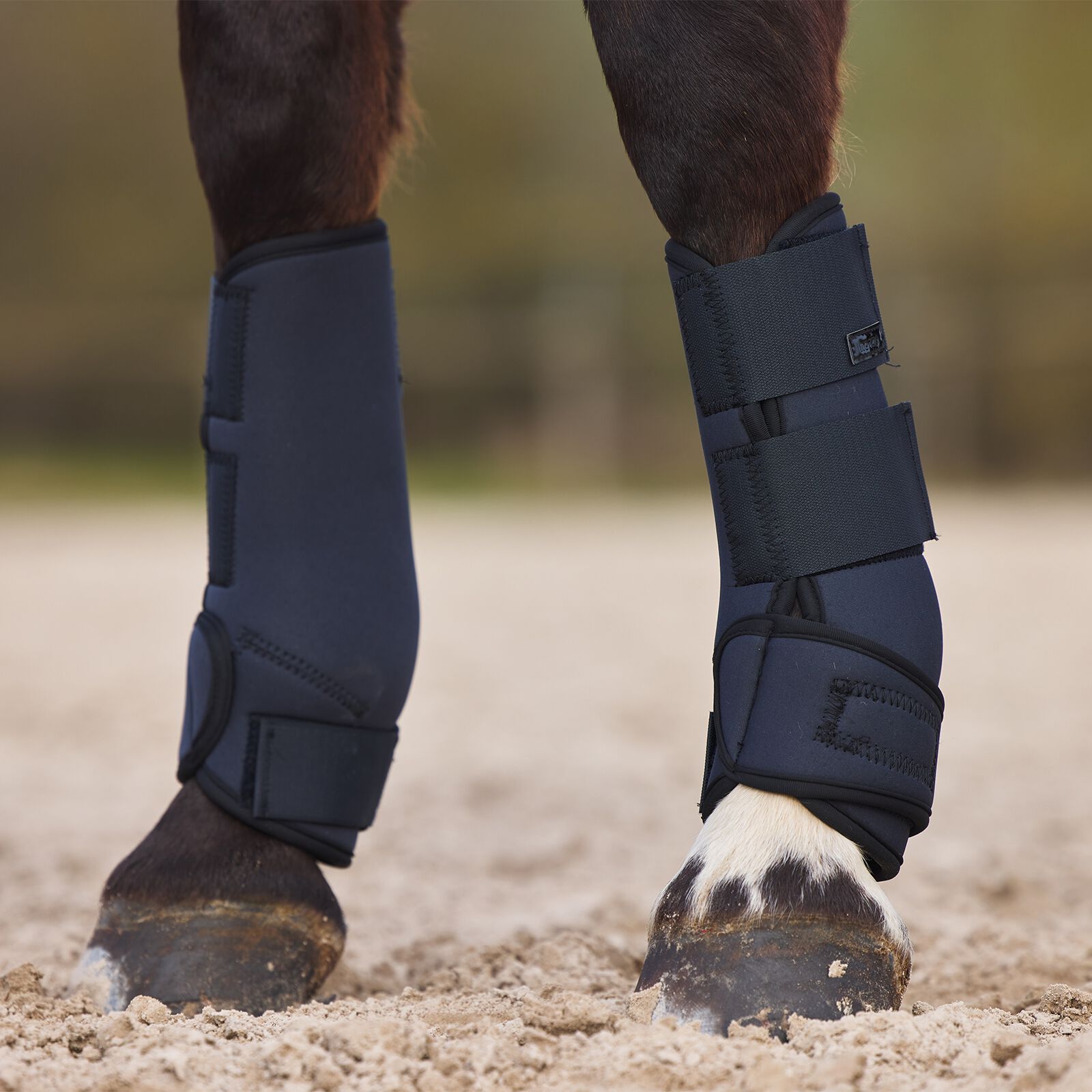 Horze online brushing boots