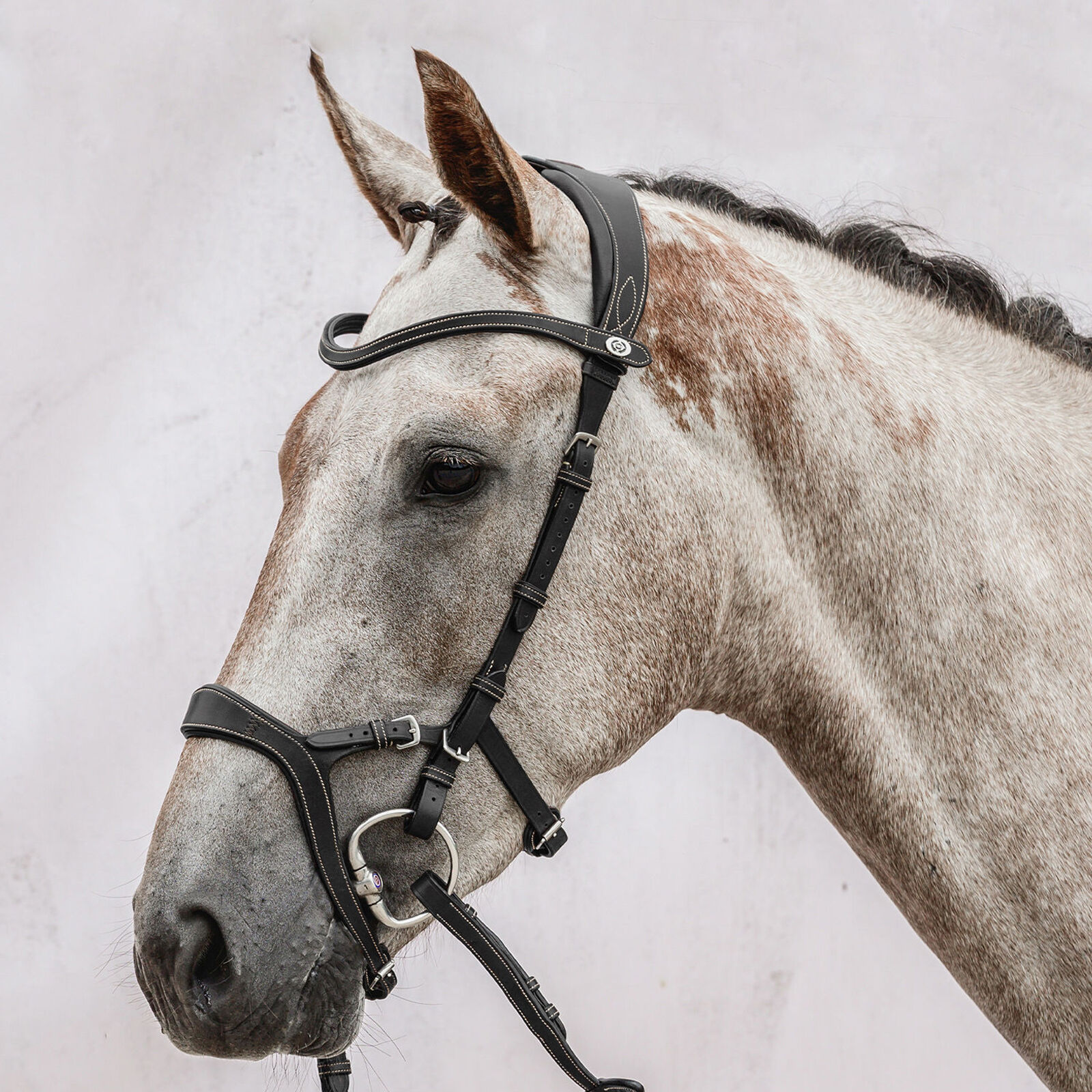 Buy PS of Sweden Nirak Bridle horze.eu